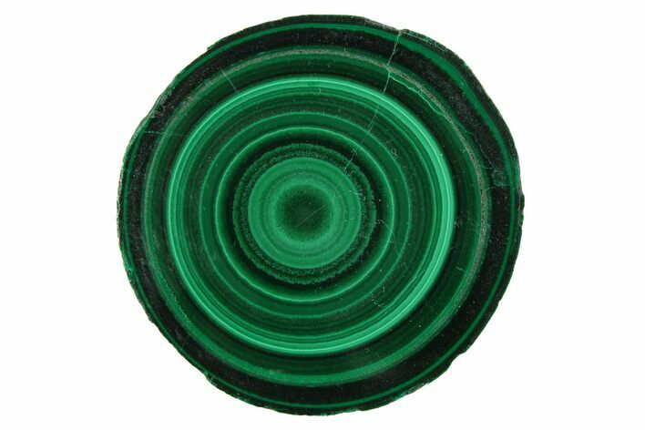 Polished Malachite Stalactite Slice - Congo #251833
